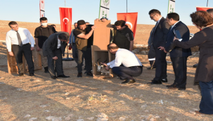 Şanlıurfa'da 30 Ceylan Daha Doğaya Salındı