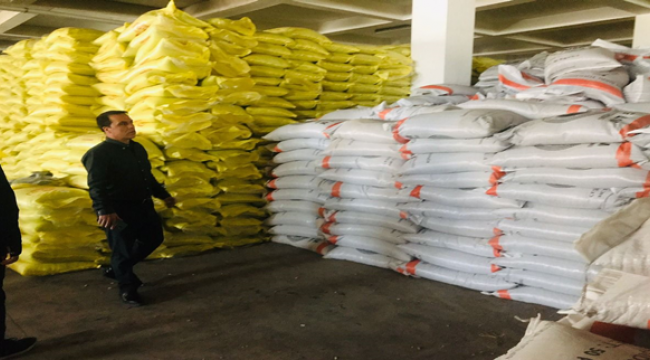 Şanlıurfa'da çiftçilere 200 ton mercimek tohumu dağıtılacak