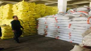 Şanlıurfa'da çiftçilere 200 ton mercimek tohumu dağıtılacak