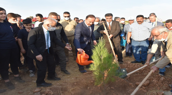 Şanlıurfa'da Hünkâr Hacı Bektaş Veli Hatıra Ormanı