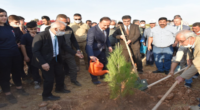 Şanlıurfa'da Hünkâr Hacı Bektaş Veli Hatıra Ormanı 