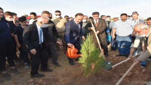 Şanlıurfa'da Hünkâr Hacı Bektaş Veli Hatıra Ormanı 