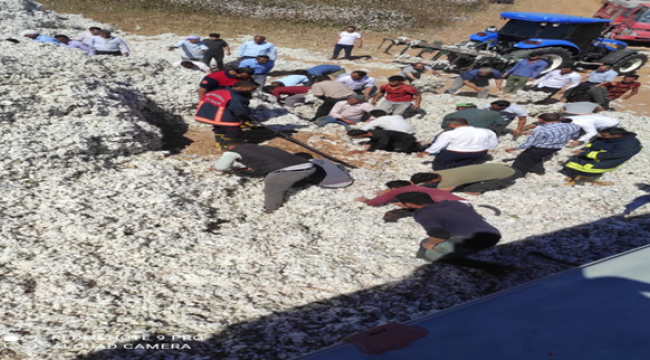 Şanlıurfa'da pamuk yangını