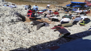 Şanlıurfa'da pamuk yangını