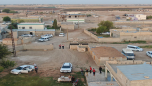 Şanlıurfa'da para karşılığı göçmen kaçakçılığına operasyon, 30 gözaltı