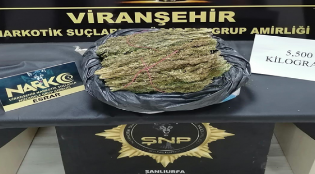  Şanlıurfa'da torbacı operasyonu: 12 tutuklama