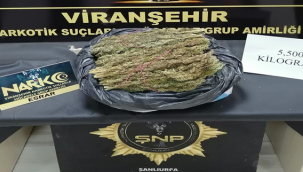  Şanlıurfa'da torbacı operasyonu: 12 tutuklama