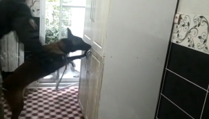 Şanlıurfa'da 'torbacı' operasyonu, 9 gözaltı