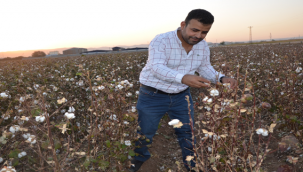 Urfa'da mevsimlik işçi İki Üniversite Mezunluğu Uzanan Başarı Öyküsü