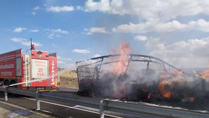 Urfa'da TIR alev alev yandı