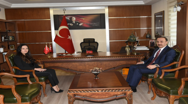 Vali Erin, Halfeti'de İncelemelerde Bulundu