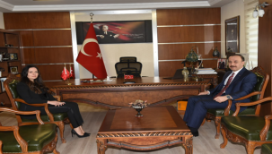 Vali Erin, Halfeti'de İncelemelerde Bulundu