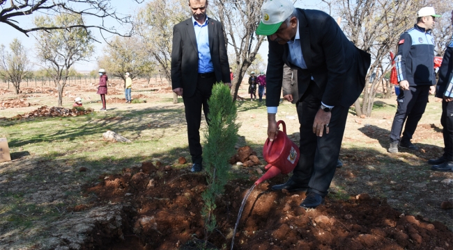 Başkan Bayık 'Milli Ağaçlandırma günü'nde fidan dikti