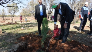 Başkan Bayık 'Milli Ağaçlandırma günü'nde fidan dikti