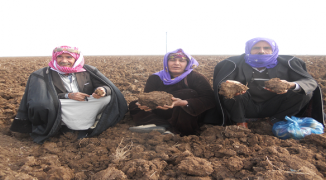 Çiftçileri kuraklık korkusu sardı