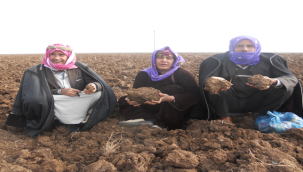 Çiftçileri kuraklık korkusu sardı