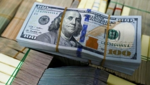 Dolarda yeni zirve!
