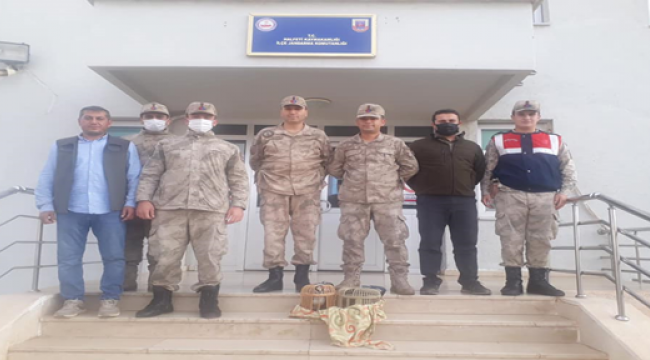 Şanlıurfa'da 2 adet kınalı kekliğe kafesiyle birlikte el koydu