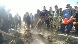 Şanlıurfa'da 20 bin fidan toprakla buluştu