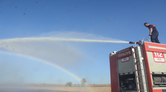 Şanlıurfa'da anız yangını paniğe neden oldu