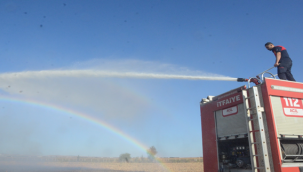 Şanlıurfa'da anız yangını paniğe neden oldu