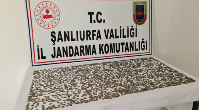 Şanlıurfa'da Helenistik, Roma ve Bizans dönemine ait tarihi eser ele geçirildi
