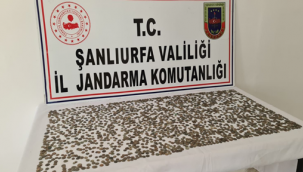 Şanlıurfa'da Helenistik, Roma ve Bizans dönemine ait tarihi eser ele geçirildi