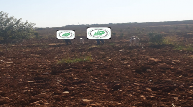 Şanlıurfa'da kaçak avcılar suç üstü yakalandılar