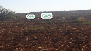 Şanlıurfa'da kaçak avcılar suç üstü yakalandılar