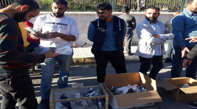 Şanlıurfa'da kuş Pazarı 