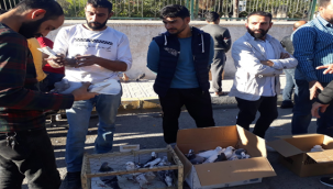 Şanlıurfa'da kuş Pazarı 