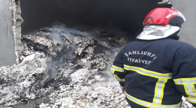 Şanlıurfa'da pamuk deposunda yangın