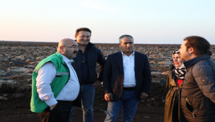 Urfa'da arazi toplulaştırma çalışmaları sürüyor