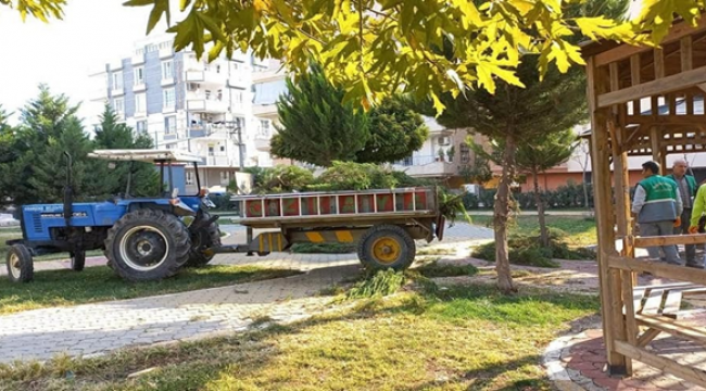 Viranşehir'de Ağaç Budama Çalışması
