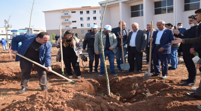 Viranşehir'de 'Milli Ağaçlandırma Günü' Etkinliği