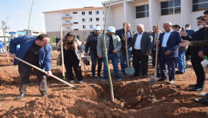 Viranşehir'de 'Milli Ağaçlandırma Günü' Etkinliği