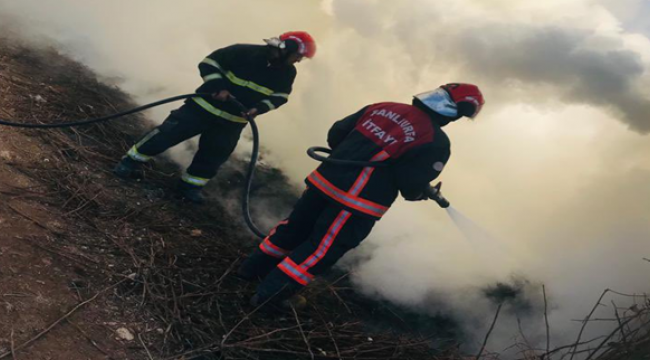 Akçakale'de odunluk yandı