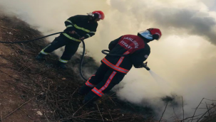 Akçakale'de odunluk yandı