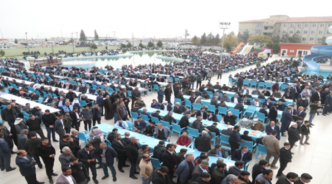 Ceylanpınar'da husumetli Belediye başkanları barıştı