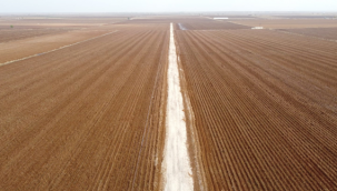 DSİ 15.Bölge Projelerde Hız Kesmiyor..