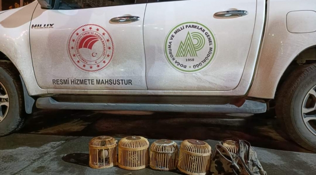 Şanlıurfa'da 6 kum keklik'i ele geçirildi