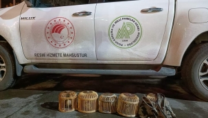 Şanlıurfa'da 6 kum keklik'i ele geçirildi