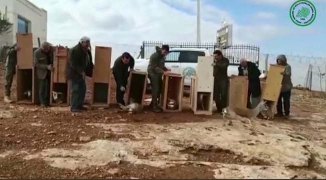 Şanlıurfa'da 8 tane Ceylan ele geçirildi