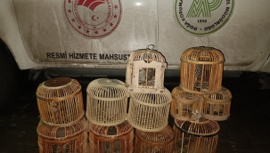 Şanlıurfa'da kaçak avcı yakalandı