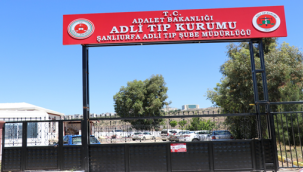 Şanlıurfa'da otomobil kamyon ile çarpıştı, 1 ölü