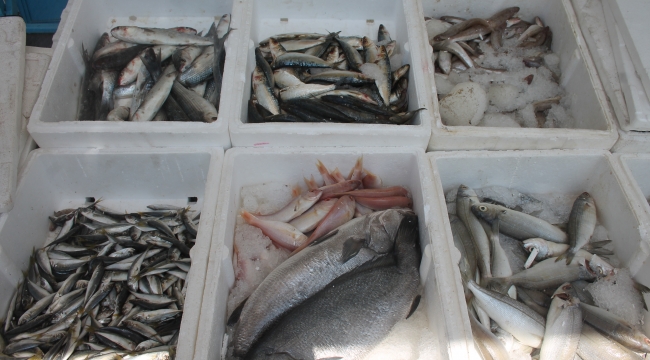 Şanlıurfa'da tezgahlar şenlendi: Balıklara rağbet arttı