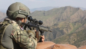 Şanlıurfa sınırında 10 terörist etkisiz hale getirildi