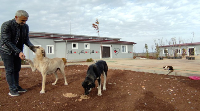 Siverek Hayvan Rehabilitasyon Merkezi Açılışa Hazır