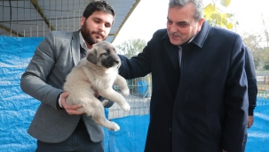 SOKAK HAYVANLARI REHABİLİTASYON MERKEZİ İNŞAATI 