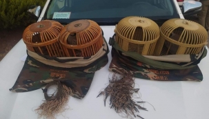 Urfa' da kaçak avcılara geçit yok